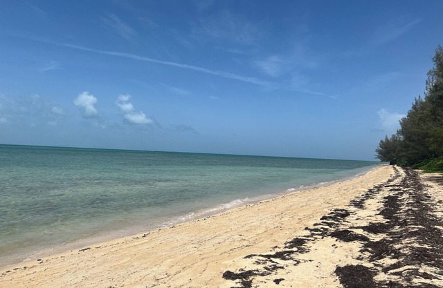 Tranquil Guest Suite in Coral Harbour (Near Albany & Airport)