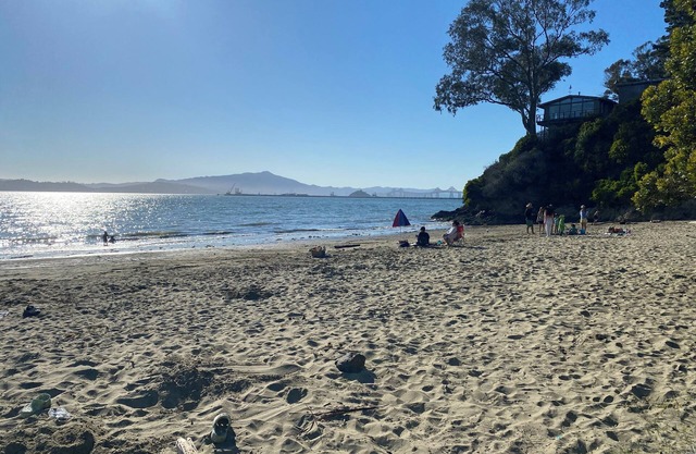 Tranquil Mid Century SF Gem. Beautiful Bay Views. Centrally Located. Walkable