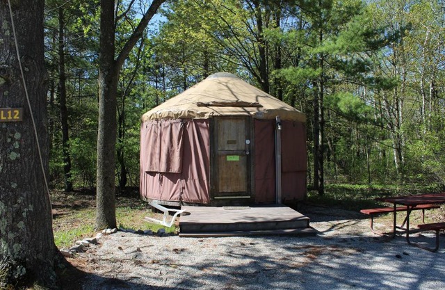 Tranquil Timbers Yurt 3
