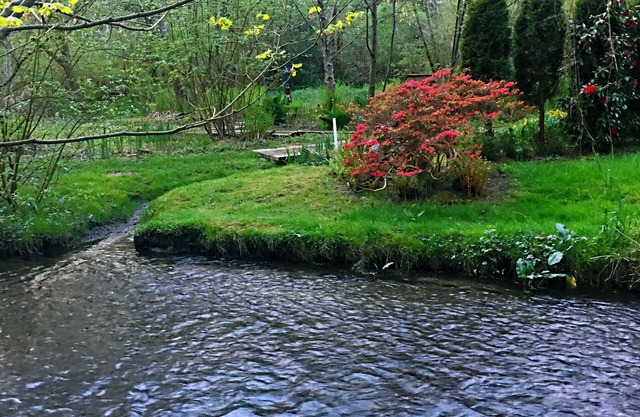 Tranquil Waterside Retreat: Newly Remodeled, AC, Creek Serenade