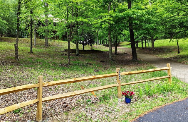 TRANQUIL WILDWOOD HIDEAWAY NESTLED IN SECLUDED HOLLOW, 10 MILES FROM EVERYTHING!