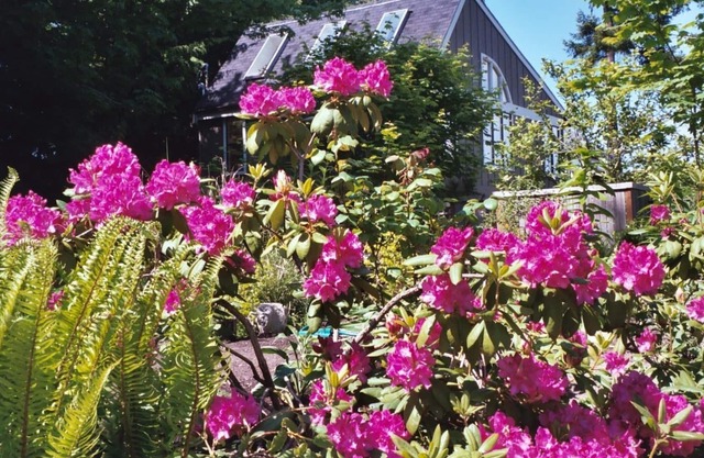 Das kürzlich aktualisierte Private Guest House bietet Gästen einen ruhigen und schönen Kurzurlaub!