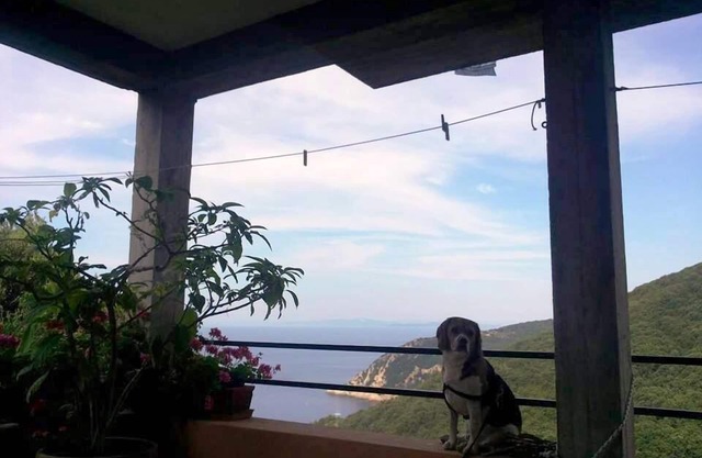 Ruhe und einen spektakulären Panorama