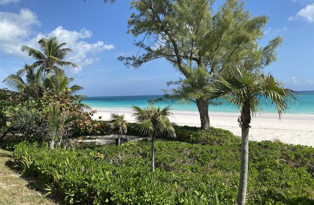 Treasured 2 Bedroom Condo