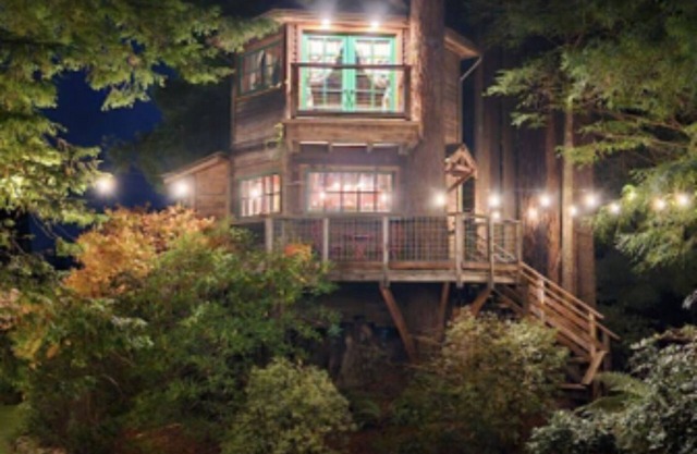 Tree House Master