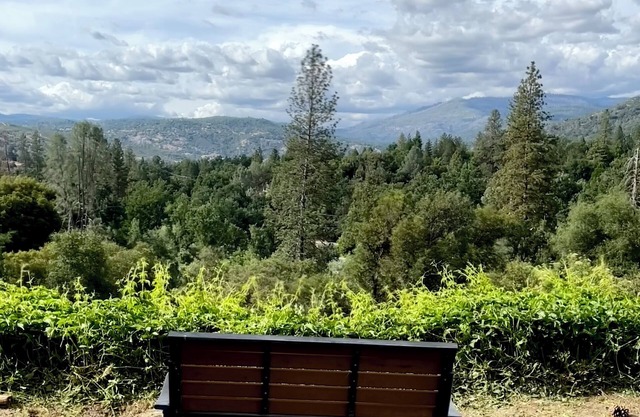 Tree top views/2BD 2BA/ 17 mi YOSE south gate / 8.6 mi Bass Lake/dog friendly
