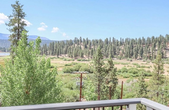 Tree Top Views- Peekaboo Lake View- Foosball