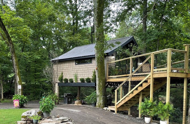 Treebreeze: A whimsical TREEHOUSE experience