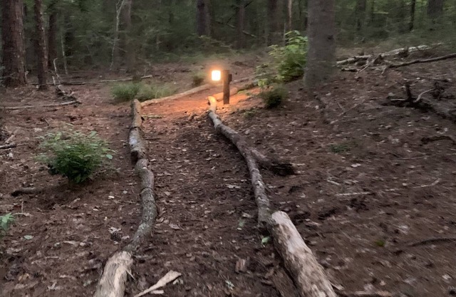 Treehouse 1/4 mile from the rails to trails