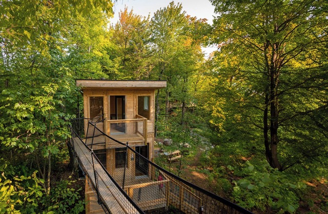 Treehouse #14 (in the forest)