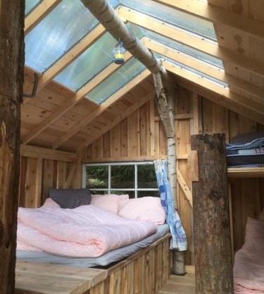 Treehouse B&B