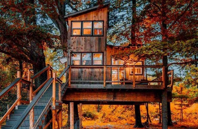 Treehouse - Countryside - Farm Animals - Fire Pit