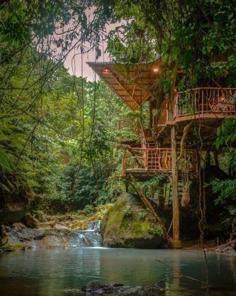 Treehouse de Valentine