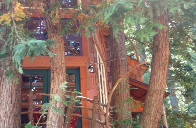 Baumhaus in den Santa Cruz Mountains, Redwoods, Stränden & Silicon Valley