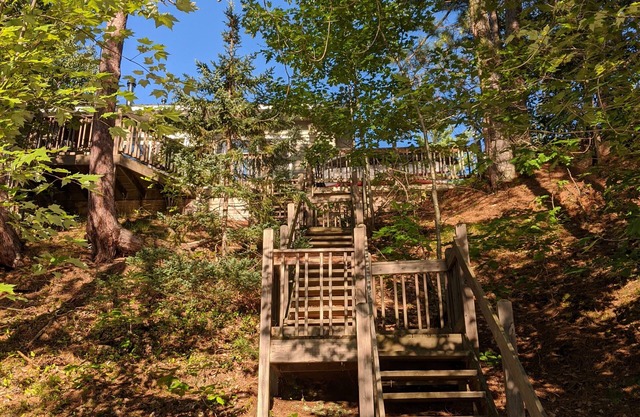 Treehouse on the river.