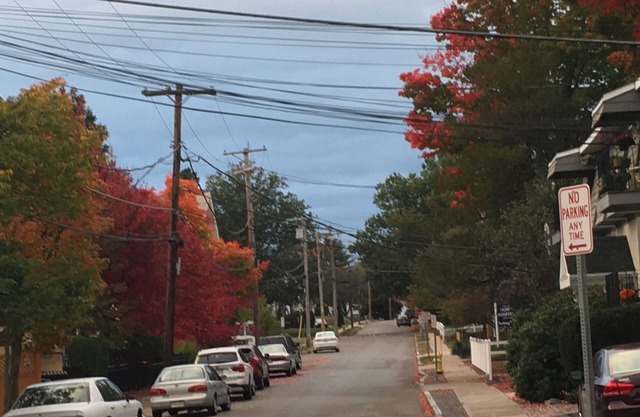 Treetop Downtown Westboro 1/1 Eigentumswohnungsnest