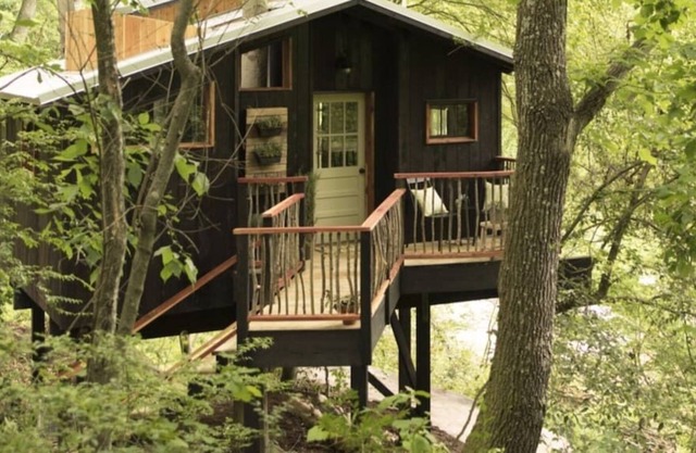 Treetop Hideaways: The Elements Treehouse