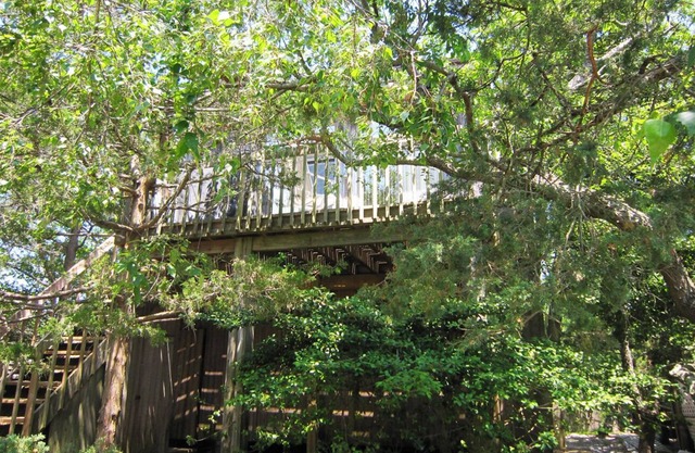 Baumwipfel-Oase im Herzen von Fair Harbor, Fire Island