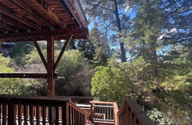 Treetop Refuge in Oakland Hills
