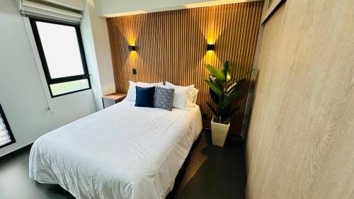 Trendy Chapultepec & Downtown