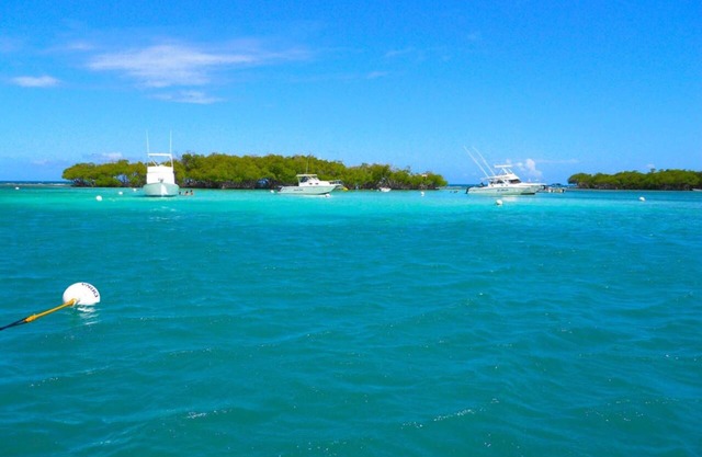 Tropisches Strandhaus - Combate, Cabo Rojo PR