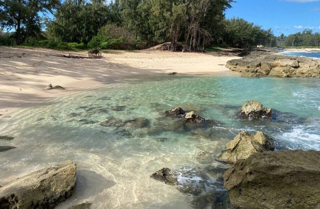 Tropical Getaway perfect for families, near beach, free wifi