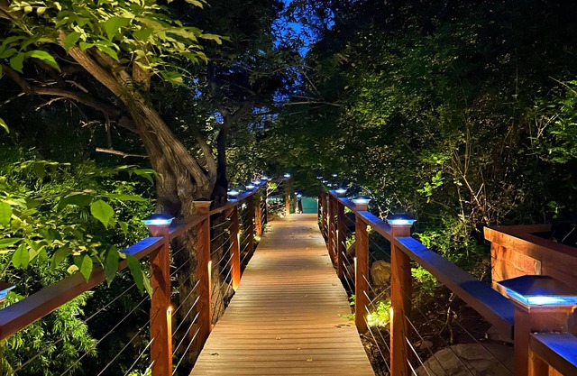 Tropical Hideaway 15 minutes from downtown and beaches!