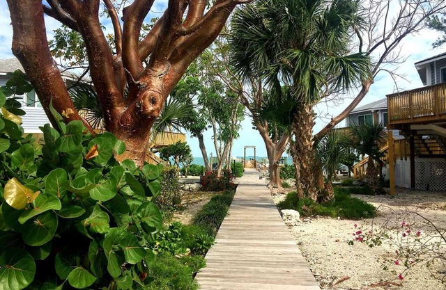 Tropical Paradise