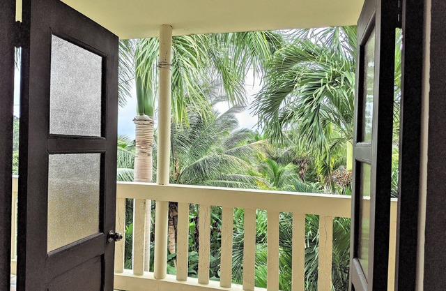 Tropical Rainforest Retreat