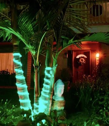 Tropical Retreat Close to Beach
