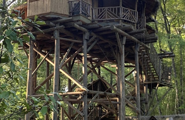 Tropisches Baumhaus, umgeben von Dschungelgärten