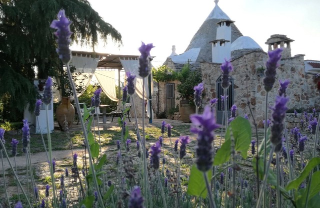 Trullo Casedd, für Sie Urlaub
