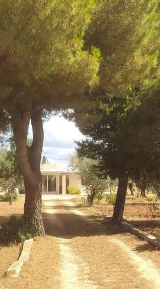 Trullo Contrada Specchi