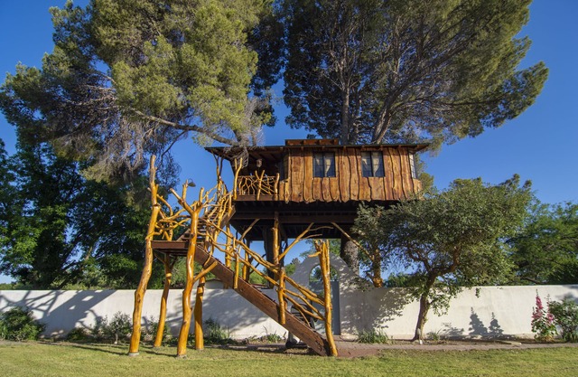 Tubac Treehouse - built by the Treehouse Guys, LLC.