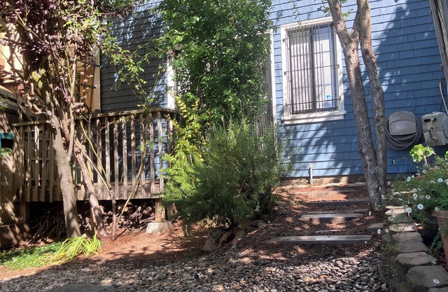 Tucked away garden-facing studio with sundeck on a tree-lined alleyway of stairs