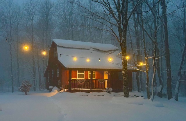 Tug Hill Cabin - Redfield NY - Schneemobil, Geländefahrzeug, Lachsfischen, entspannend