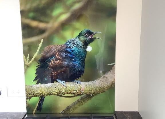 Tui Cottage