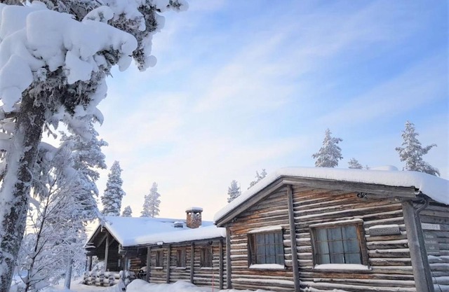 Tunturipöllö/Lapland, Saariselkä