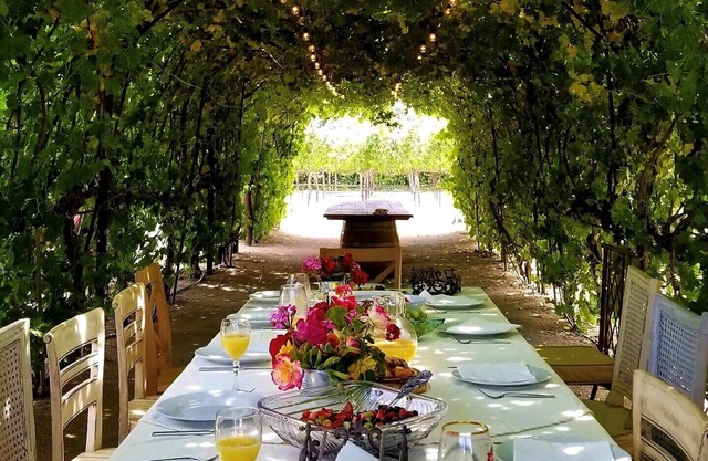 Tuscan villa nestled in the vineyard - Villa Riposo