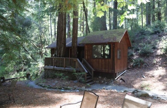 "Twin Trees" Cabin River Access In Redwoods WiFi