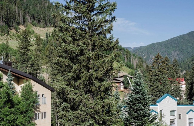 Twining 7 - Tasteful Bi-Level Condo with Wood Fireplace and WifI
