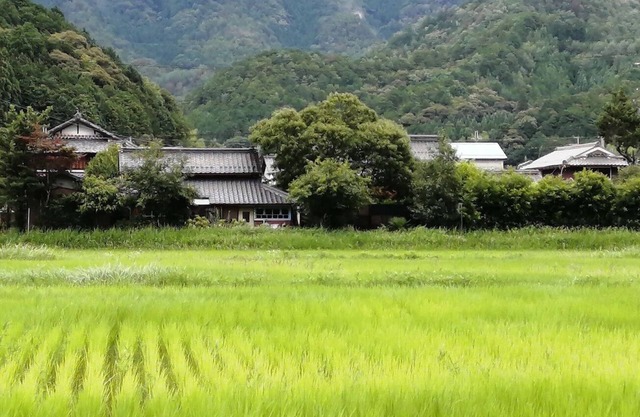 Twinkle Villa - country living in Tamba