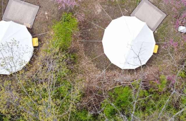 Two Glamping Suites In Secluded Sanctuary | Sleeps 8