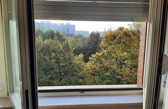 TWO-ROOM APARTMENT WITH PARK VIEW