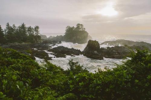 Tyee Retreat Cozy Lofted 1 Bedroom Cabin