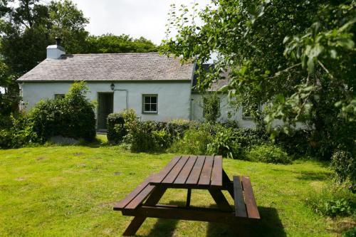 Tyn Llan