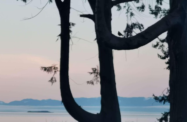 U1 Seaside Serenity: Seal Bay Glamping Retreat