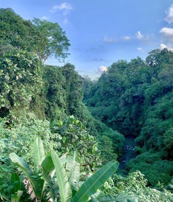 Ubud Jungle River