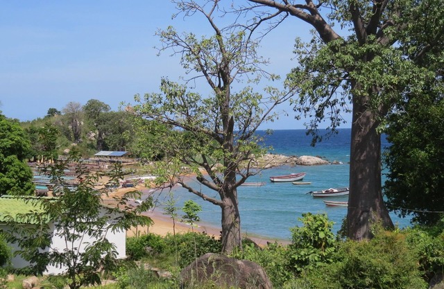Ulisa Bay Lodge