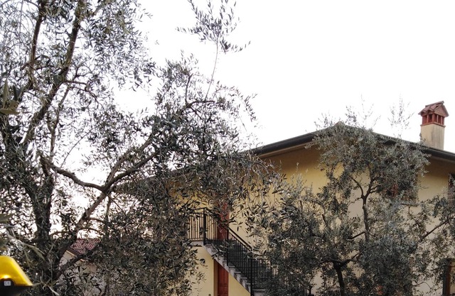 ULIVI Apartment - Riva Di Solto - Iseosee, Bergamo